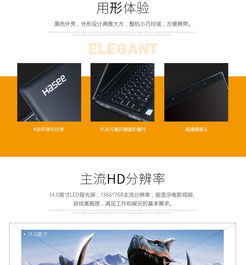 神舟商城官网 一站式电脑设备购买与技术支持平台